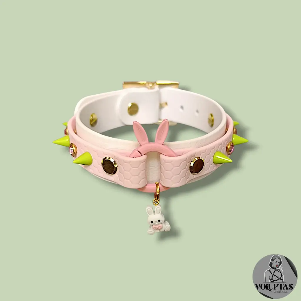 Collier LAPINA avec boucleries dorées - Edition limitée