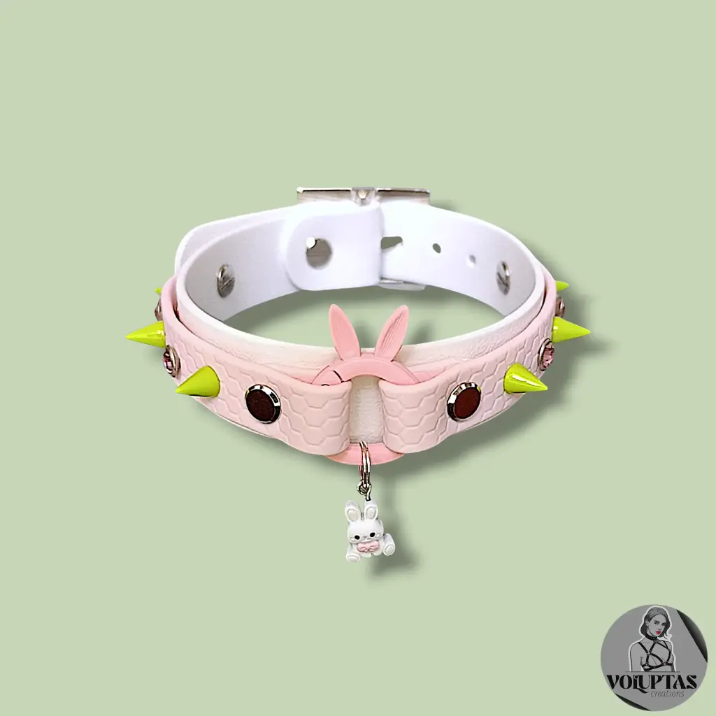 Collier LAPINA avec boucleries en acier inoxydable - Edition limitée