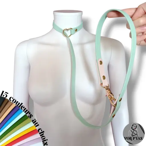 Collier ALLEGA avec laisse intégrée — Système étrangleur 