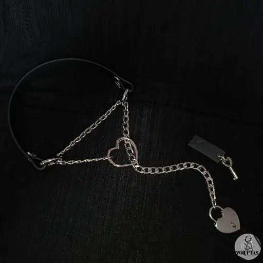 Collier étrangleur / martingale TENEXIA en cuir vegan noir — Sur mesure avec texte personnalisable en option - 16 ou 25mm de largeur
